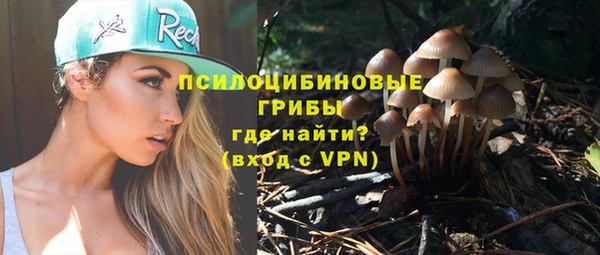 скорость Шали