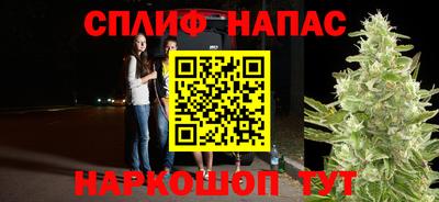 стаф Гагарин