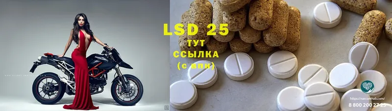 наркошоп  Губаха  LSD-25 экстази ecstasy 