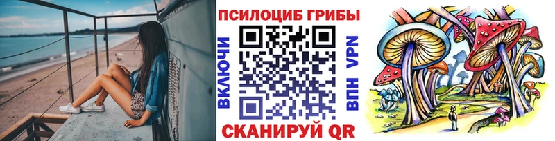 где купить   Губаха  Галлюциногенные грибы Psilocybine cubensis 