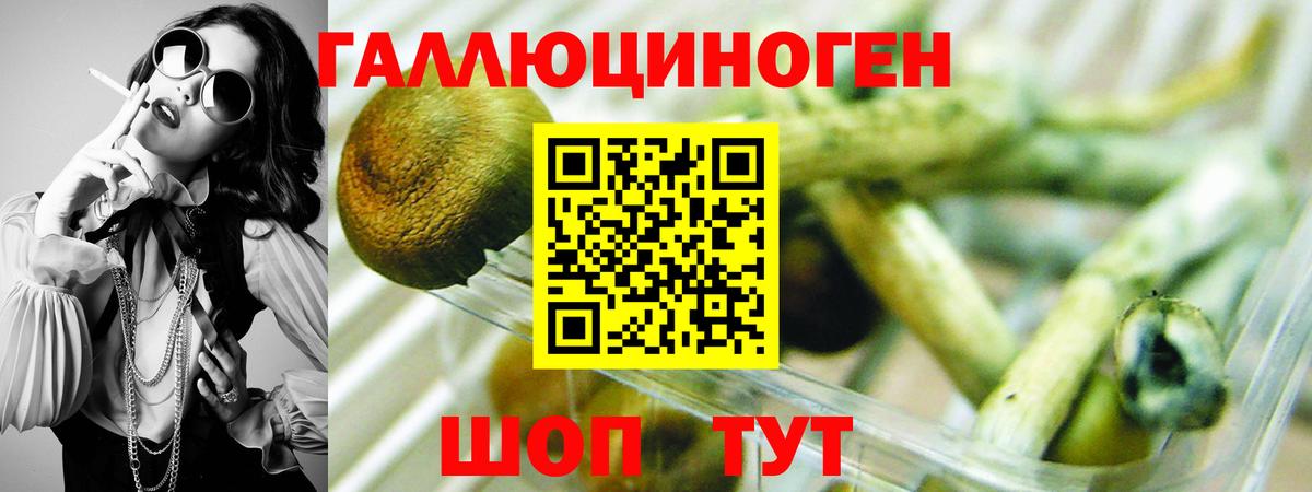 Галлюциногенные грибы ЛСД  Псилоцибиновые грибы GOLDEN TEACHER  Губаха 